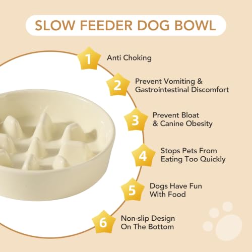 Havniva Elevated Slow Feeder Dog Bowls, 7.3 in Ceramic Slow Feeder Bowl Set - color: Light Yellow