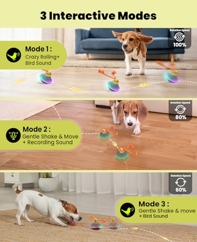 Xeuch Interactive Dog Ball with Rope, Motion Activated Moving Rolling Toy - color: Blue