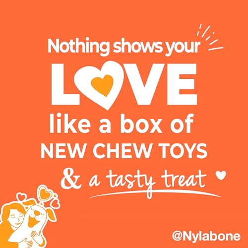 Nylabone Dog Gift Box, Strong Chew Toys & Treat, Large, 4 Count - size: Large (4 Count)