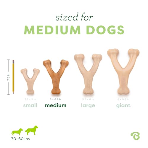 Benebone Wishbone Dog Chew Toy for Aggressive Chewers, Real Chicken, Medium - size: Medium