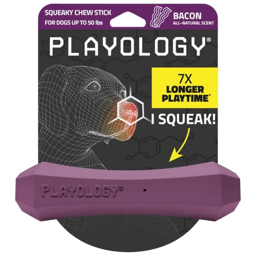 Playology Squeaky Chew Stick - Scented Dog Toy - Medium, Bacon Scent - size: Medium, style: Bacon