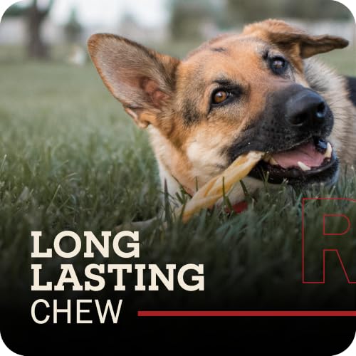 Redbarn Pet Products Collagen Braid Small 3-Count Beef Collagen Chews for Dogs - Joint Health Support with Collagen Peptides, Alternative to Traditional Rawhide - size: 1 Ounce (Pack of 3)