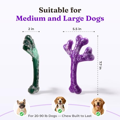 Frienhund 2-Pack Tough Dog Chew Toys for Aggressive Chewers, Beef, 20-90 Lb - color: Green & Purple-2-Pack
