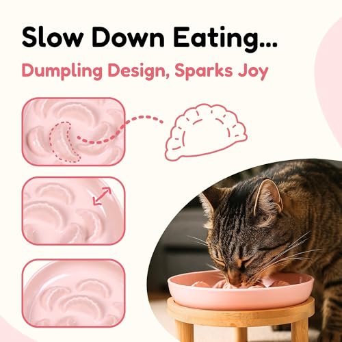 Slow Feeder Bowl, 6.3″ Elevated Cat Bowl with Stand, Melamine Wide Shallow Food Bowl, Whisker-Friendly Raised Plate, Wet Food Feeder for Slow Eating (Pink) - color: Pink, size: 6.3''W x 5''H