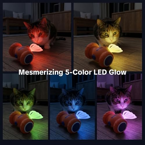 Interactive Cat Toys, Puppy Dog Toys - color: Orange