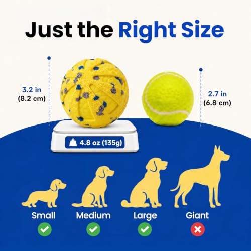 Dog Ball