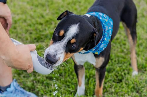 3-in-1 Dog Walking Kit - Silicone Treat Pouch, Portable Water Bottle (350ml) & Rope Tug Toy - Hands-Free Training Set