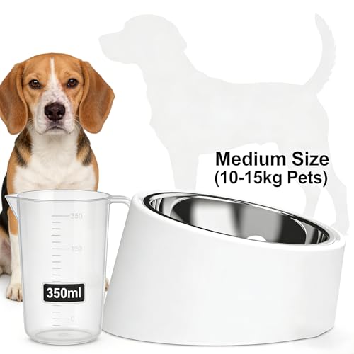 15° Tilted Slow Feeder- Non-Spill & Non-Slip Stainless Steel Dish for Small & Cats - color: White, size: L