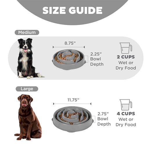 Outward Hound Fun Feeder Slo Bowl Dog Slow Feeder, Drop, Gray, 8.8" - color: Gray, size: Medium