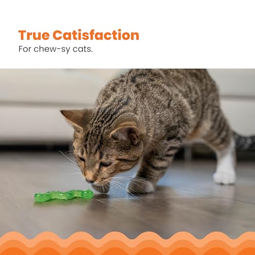 Catstages OrkaKat Wiggle Worm Dental Cat Chew Toy with Catnip, 3.8"