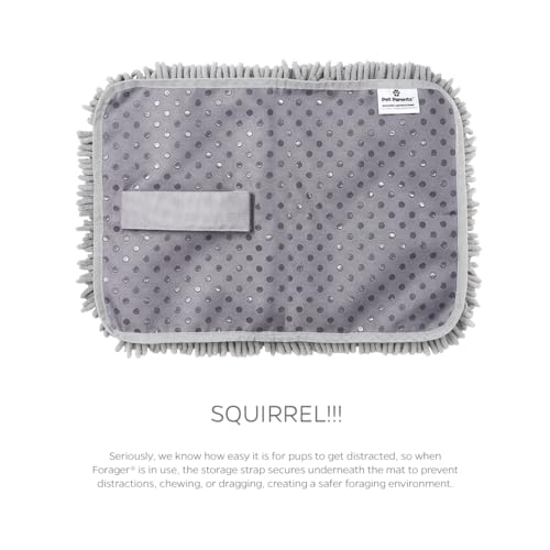 Pet Parents Forager Slow Feeder Dog Bowl & Snuffle Mat - SoftSnout, Non-Slip Backing (Forest 12")