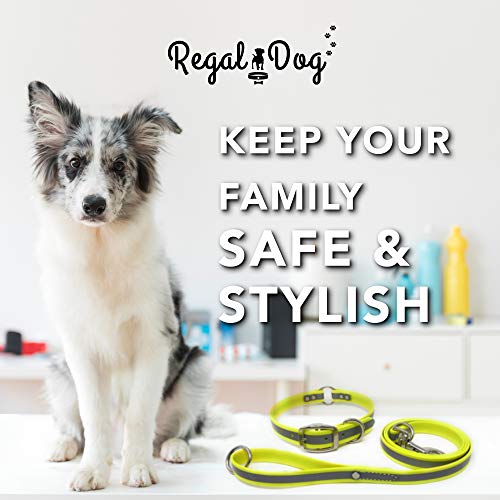 Regal Dog Products Reflective Dog Collar & Leash Set, Metal, Small Yellow - color: Yellow, size: Small Collar & Leash