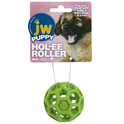 JW Pet Hol-ee Roller Treat Dispenser Puzzle Ball, Mini 1.75in, Rubber - size: Mini