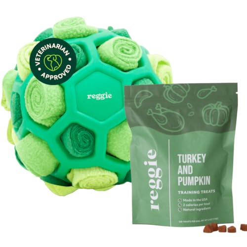 Reggie Dog Training Treats with Enrichment Toy | Turkey & Pumpkin Dog Treats + Forager Ball | Low-Calorie High-Protein Rewards | Mental Stimulation for Dogs | 340 Treats - size: Forager Ball - Turkey & Pumpkin