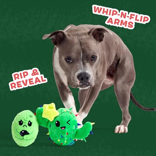 BarkBox Consuela the Christmas Cactus 2-in-1 Interactive Plush Dog Toy - color: Consuela the Christmas Cactus
