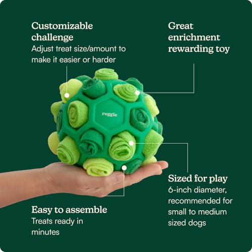 Reggie Dog Training Treats with Enrichment Toy | Turkey & Pumpkin Dog Treats + Forager Ball | Low-Calorie High-Protein Rewards | Mental Stimulation for Dogs | 340 Treats - size: Forager Ball - Turkey & Pumpkin