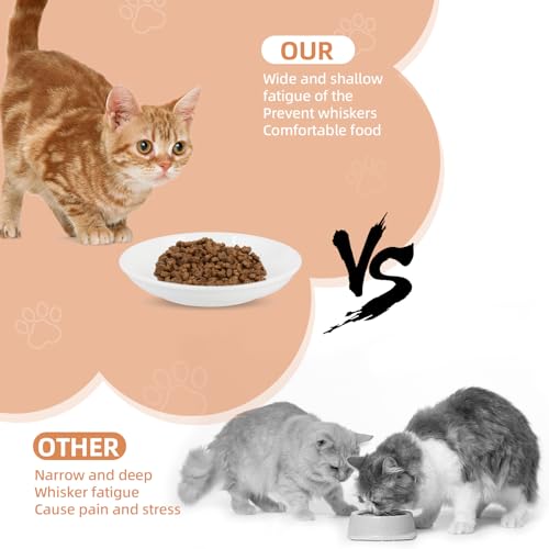 6 Pack Cat Food Bowl, Ceramic Cat Bowls, Anti Whisker Fatigue Cats Bowl Set - color: White-E
