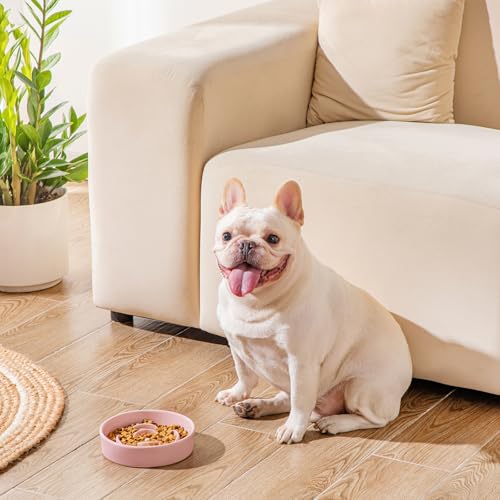 vancasso Ceramic Slow Feeder Dog Bowl, 0.6 Cup Puzzle Dish for Small Breeds - color: Pink, size: S - 0.6 Cups