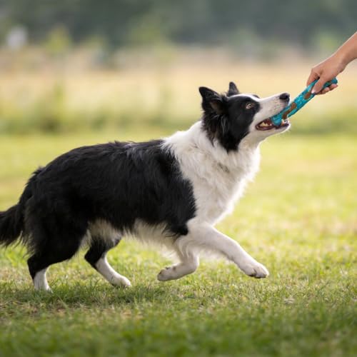 3 Pack Dog Bones Chew Toys for Aggressive Chewer,Beef Flavor,for All Breed - size: ST beef Flavor 3 PCS