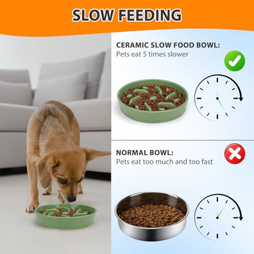 Ceramic Slow Feeder Dog Bowl, 2 Cups Maze Puzzle Dish to Slow Down Eating - color: Maze - Green