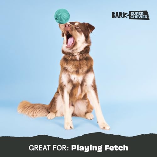 BarkBox Sea Foam Reef Ball Treat Dispensing Toy for Large Dogs, Perfect for Fun-Filled Stimulation and Interactive Playtime - style: Sea Foam Reef Ball