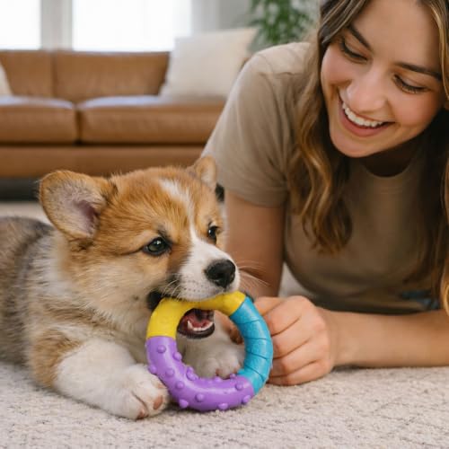 Grow-With-Me Ring Dental Dog Chew Toy, Bounces & Floats, 4.7" - color: Ring