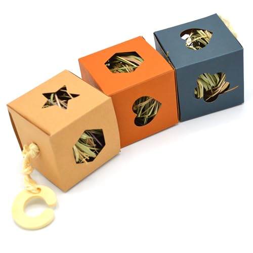 Oxbow Enriched Life Hide Box Hanger - Small animal enrichment toy - style: Hide Box Hanger