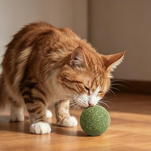Catnip Balls for Cats (9-Count) - size: 9pcs 1inch