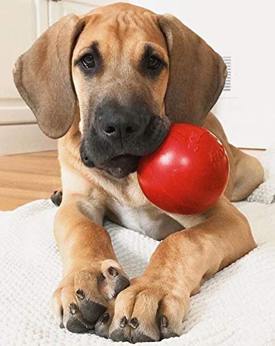 Jolly Pets Tug-n-Toss Heavy Duty Dog Toy Ball with Handle, 3 Inches/Mini, Red (403 RD) - color: Red, size: 3 inches/Mini