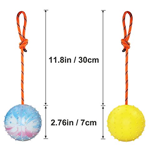 2 Pack Dog Ball, K9 Ball on Rope for Reward, Fetch, Play (7cm) - size: 2.75 in (Bright Color)
