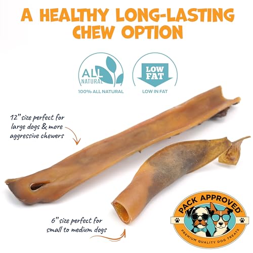 Pack Approved Camel Skin Dog Chews for Aggressive Chewers - 12" Stick, 3ct