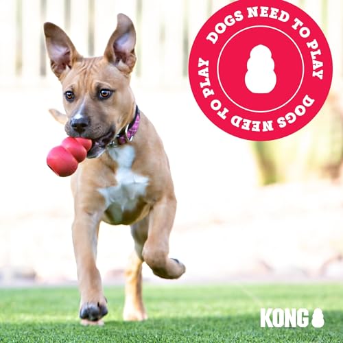 KONG Flyer, Natural Rubber Flying Disc, for Small Dogs (Pack of 2) - size: Small(2-Pack)