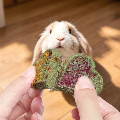 Abizoo Rabbit Chew Toys, Natural Four-Leaf Clover Herbal Edible Treats