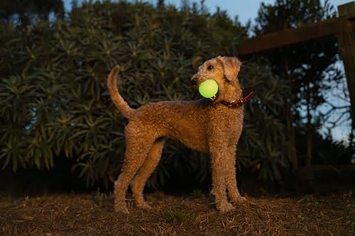 Harry Barker Glow-in-the-Dark Rubber Dog Fetch Balls, High-Bounce Interactive Toy with Safety Air Vent, 2.5 Inch, Launcher-Compatible - color: I) 2.5" 2-Pack (Glow)