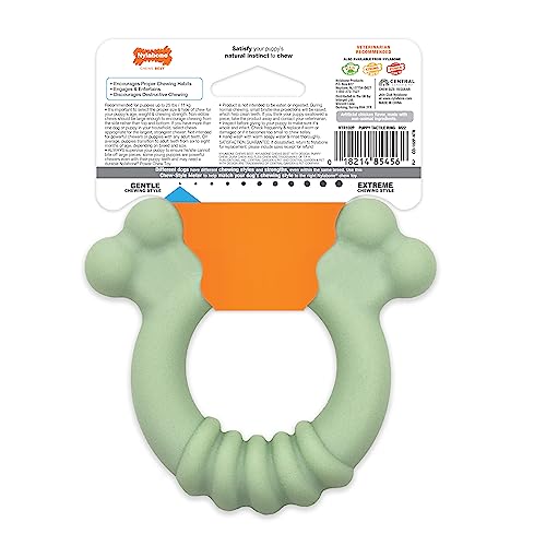 Nylabone Puppy Chew Sensory Material Soothing Ring Dog Chew Toy, Small