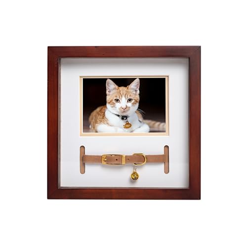 Pearhead Pet Collar Keepsake Picture Frame, Espresso - color: Espresso Collar Frame