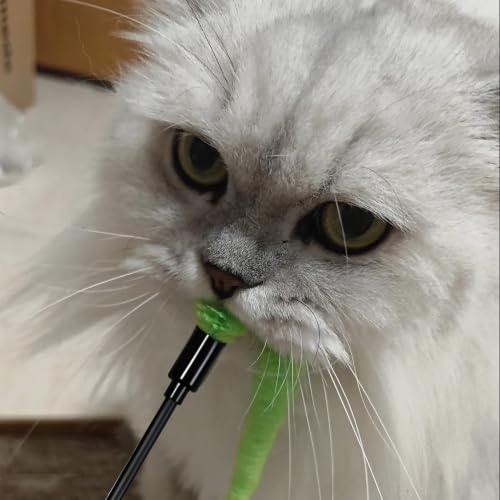 6 PCS Wiggly Worm Cat Wand Toys Interactive Colorful Plush Cat Teaser Stick - color: B[Worm]
