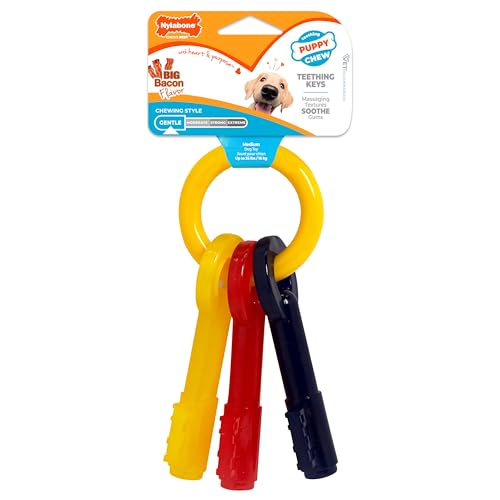 Nylabone Puppy Chew Teething Keys Dog Chew Toy, Bacon Flavor, Medium - size: Medium
