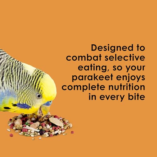 Kaytee Fiesta Parakeet Food, Parakeet Bird Food, 4.5 Pounds - size: 4.5 Pound (Pack of 1)