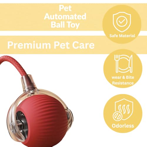 Interactive Cat Toy Ball – Automatic Self-Moving, Motion-Activated, USB-Rechargeable, Quiet LED Chase Modes, Indoor Exercise & Enrichment for Bored Cats & Kittens
