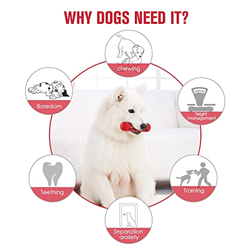 petizer Dog Squeaky Toy for Aggressive Chewers, Tough Toothbrush Dental Dog Chew Toy, Durable Rubber Toy for Pet Training, Dog Teeth Cleaning, Playing and Chewing for Medium & Large Breeds