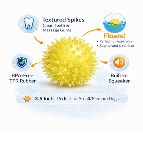 Squeaky Spiky Dog Ball 2.5 Inch for Small Medium Dogs (Color Varies), Teeth Cleaning & Gum Massage, Spiny TPR Rubber Chew Toy for Fetch Play, Interactive Bouncy Dental Ball, Durable BPA Free - size: Color Varies, Ball - 1 Pack