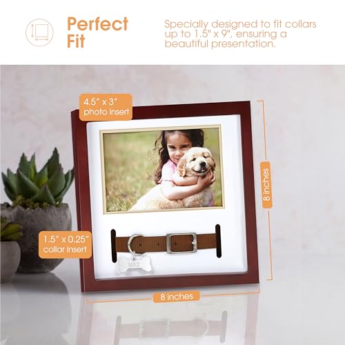 Pearhead Pet Collar Keepsake Picture Frame, Espresso - color: Espresso Collar Frame