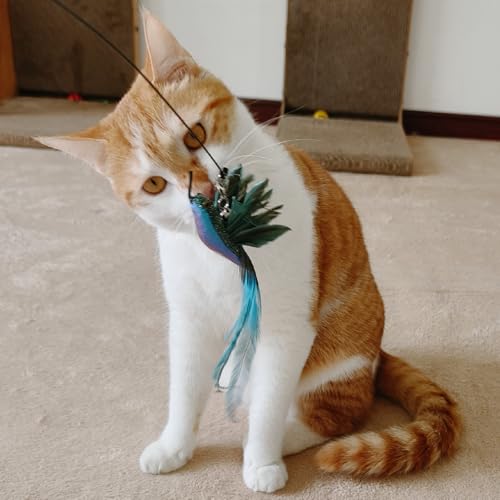 miwoowim 35" Steel Wire Cat Wand Toy & 6PCS Realistic Feather Bird Refills - color: Cat Wand Toy Birds