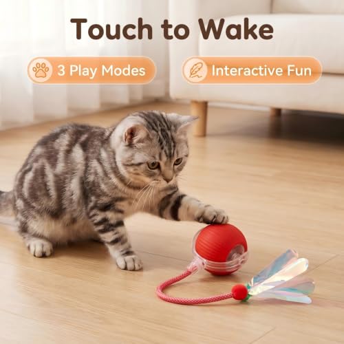 JBD Automatic Cat Toy Ball for Indoor Cats, Interactive Self Moving Electronic Cat Toys, USB Rechargeable, Silent Auto Rolling Kitten Toy for Boredom Relief & Exercise - color: Red