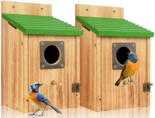2 Pack Bird Houses for Outside- Cedar Bird House with Metal Predator Guard - color: Green - 2 Pack