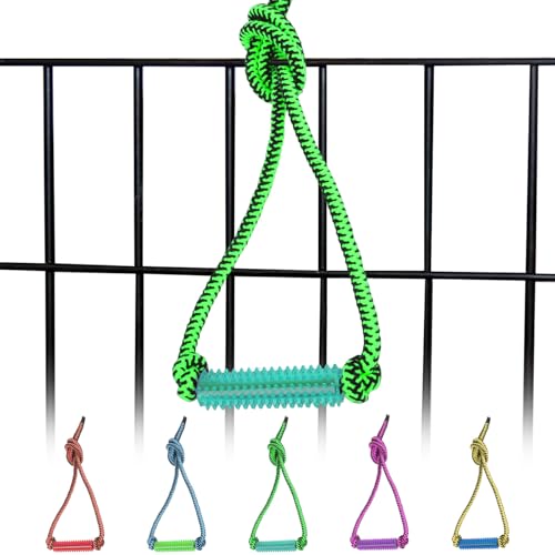 Interactive Dog Toys，Crate Training Aids for Puppies，Green - color: Green