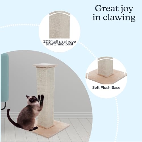 Cat Scratching Post with Carpeted Base - 27.75-Inch Sisal Burlap Fabric Scratcher - Furniture Scratching Deterrent for Indoor Cats by PETMAKER (Beige) - color: Beige