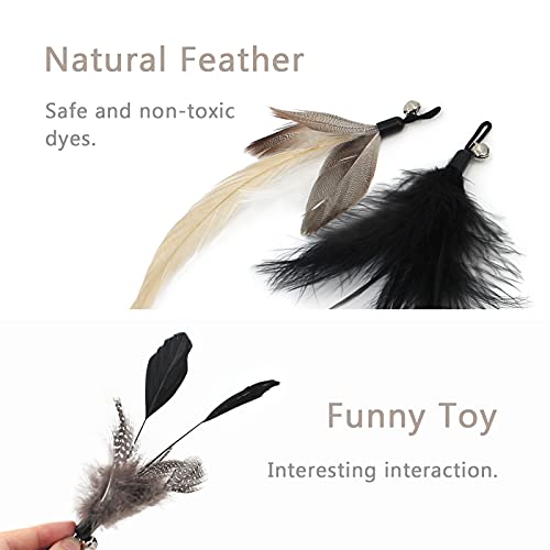 SONGWAY Interactive Cat Feather Toy Set - Retractable Teaser Wand with 6 Pcs Feather Refills with Bell, Cat Wand Toys for Indoor Cats Kittens Play Chase Exercise, Black - color: Black