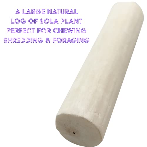 5502 Natural Sola Logs PK12 - Large Bird Foraging Chew Toys - color: Sola Logs no Bark, size: Pack 12